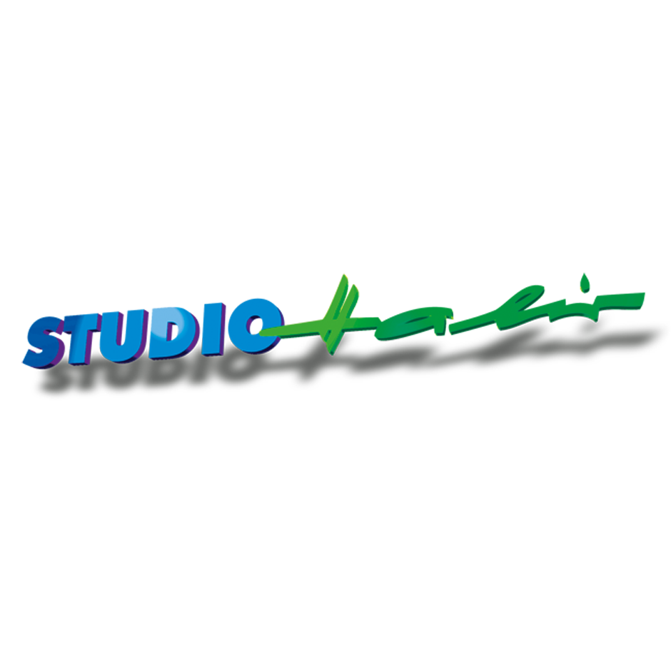 Studio Halir, Logo